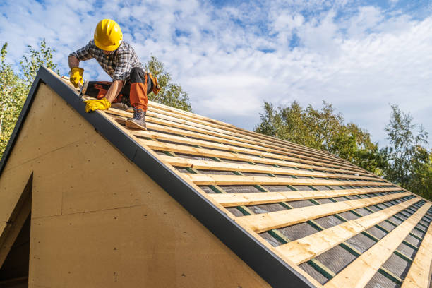 Best Roof Gutter Cleaning  in Avalon, PA